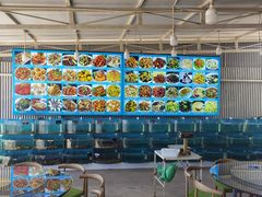 -叶存利海鲜大馅饺子(东戴河止锚湾店)