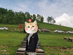 -关山草原