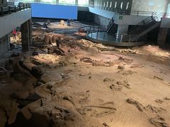 -自贡恐龙博物馆