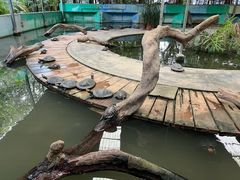 -广州长隆飞鸟乐园