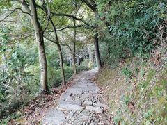 -丹山赤水风景名胜区