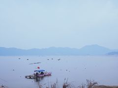 -北岐滩涂