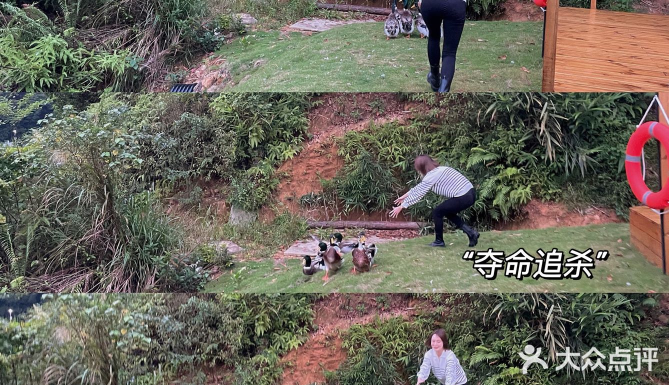 来一晚说走就走的露营！ 🏕