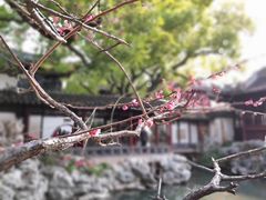 -豫园
