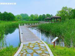 -同里国家湿地公园
