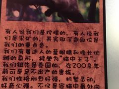 -猫咪博物馆(顶澳仔猫街店)