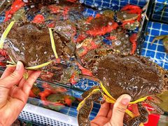 -红月湾海鲜饭店•沙滩海景(双月湾店)