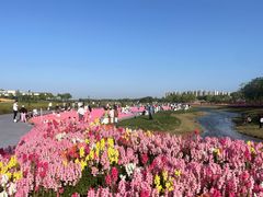 -春花秋色城市公园