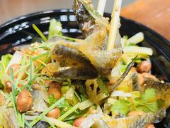 -凤城·食都
