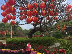 -维也纳酒店(深圳大学城店)