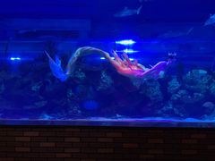 -成都浩海立方海洋公园