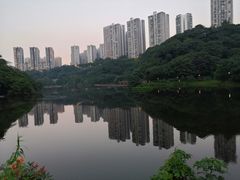 -重庆彩云湖湿地公园