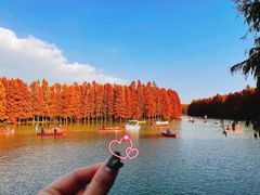 -上海海湾国家森林公园