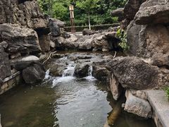 -洛阳市隋唐城遗址植物园