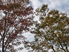 -长田漾湿地公园