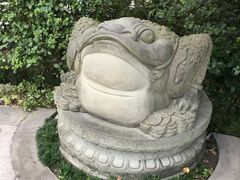 -活水公园