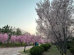 -郑州植物园
