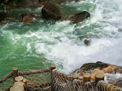 -广州白江湖森林公园