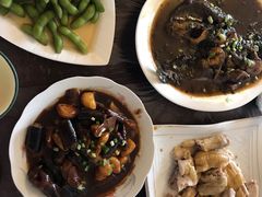 -南汇新场正宗水蜜桃采摘