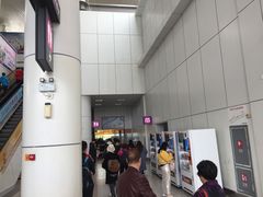 -国际邮轮中心码头(厦鼓码头)