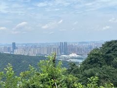 -岳麓山风景名胜区