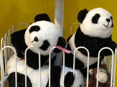 -TOYSRUS玩具反斗城(苏州中心店)