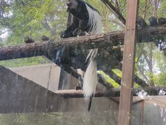 -合肥野生动物园