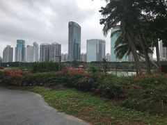 -万绿园