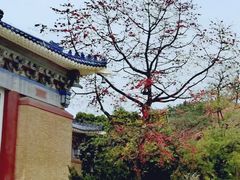 -广州中山纪念堂