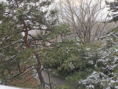-元大都城垣遗址公园