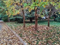-中国政法大学(昌平校区)