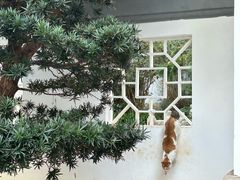 -深圳国际园林花卉博览园