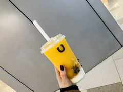 -春丽小马(济南恒隆广场店)