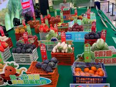 -红星美凯龙北京至尊MALL(东四环中路店)