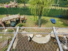 -沈阳森林动物园