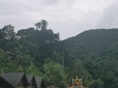 -西双版纳原始森林公园
