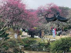-杭州植物园