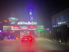 -枫花园汽车电影院(朝阳公园店)