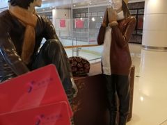 -冰纷万象滑冰场(二七万象城店)