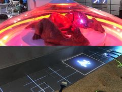 -侏罗纪世界电影特展(广州站)