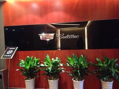 -河南威佳金凯汽车销售服务有限公司