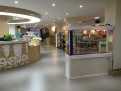-芳妮豆丁家庭影像馆(宝安店)