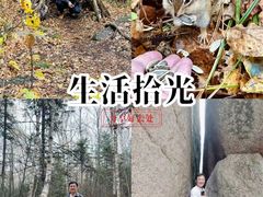 -汤旺河林海奇石景区