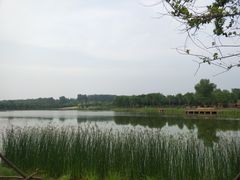-东郊湿地公园