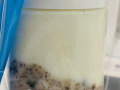 芋头泥石流-兰熊鲜奶(西直门凯德mall店)