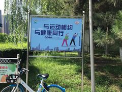 -长白岛森林公园