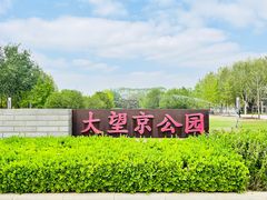 -大望京公园