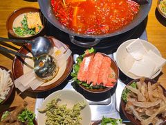 -阳阳老火锅(小南门店)