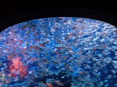 -成都浩海立方海洋公园