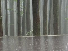 -山王坪喀斯特国家生态公园